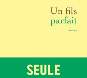 Un fils parfait – Mathieu Menegaux