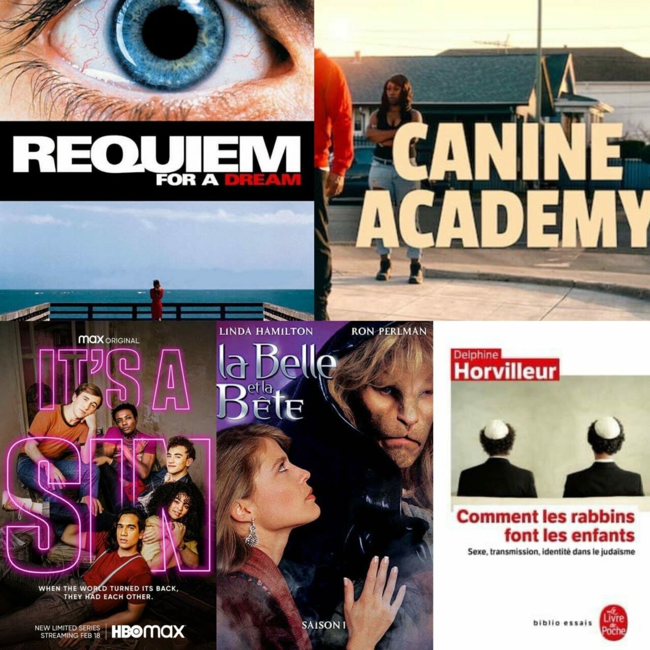 Film Le Plus Vu Au Monde 2021 bref-culture-l'apostrophee-fabienne-blanchut-2021-s15-film-serie-livre