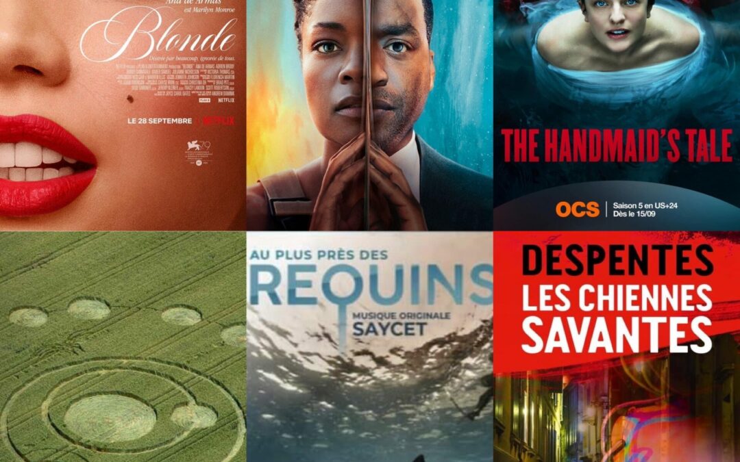 Quelques brèves de Fabienne 2022-S45