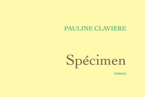 Spécimen – Pauline Clavière